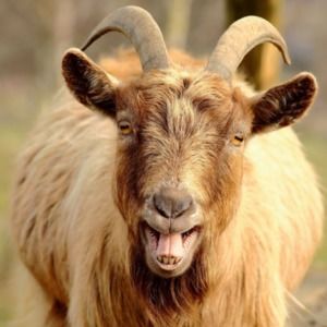 Meet your Posher, Kristin